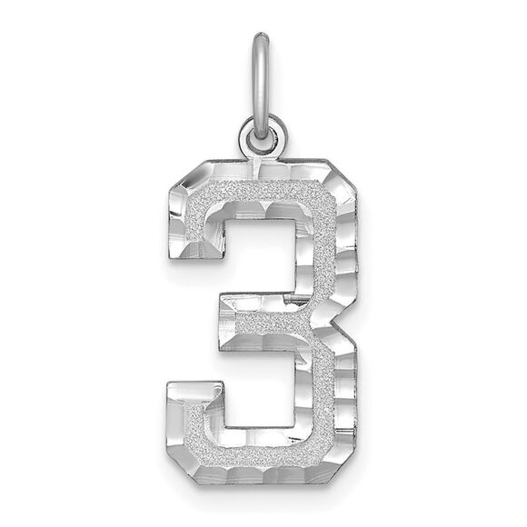 14k White Gold, Varsity Collection, Large D/C Pendant, Number 3 - Picture 1 of 5